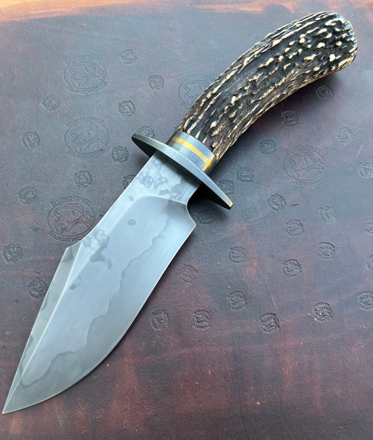 Stag Bowie