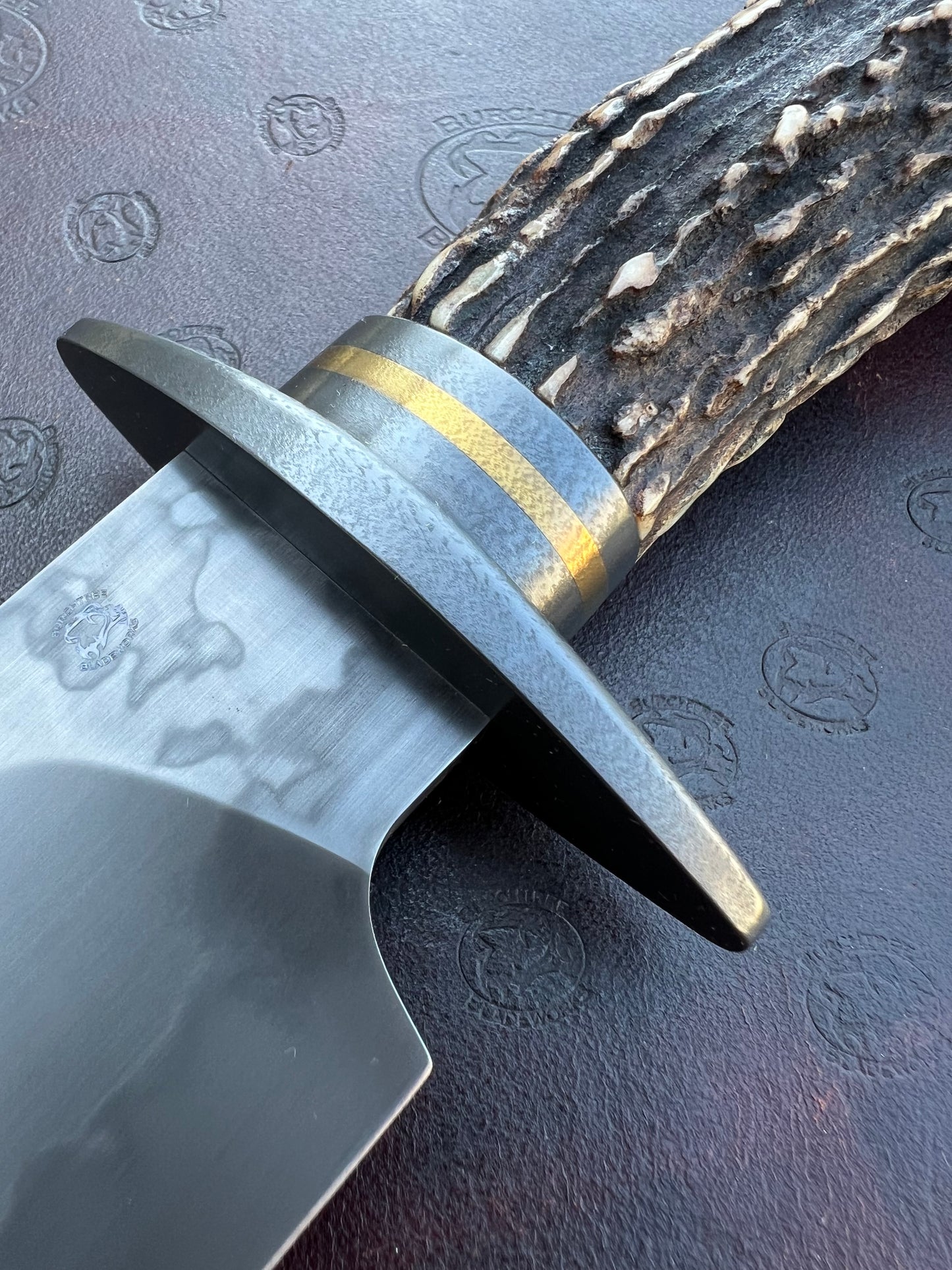 Stag Bowie