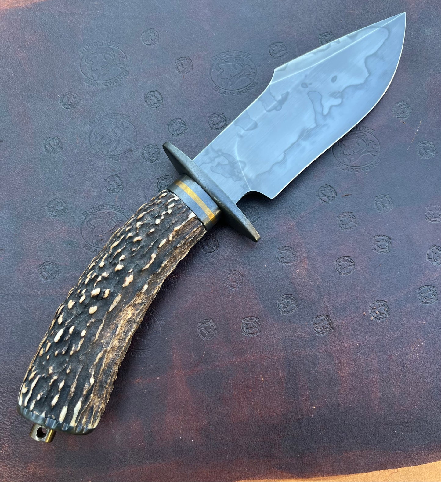 Stag Bowie