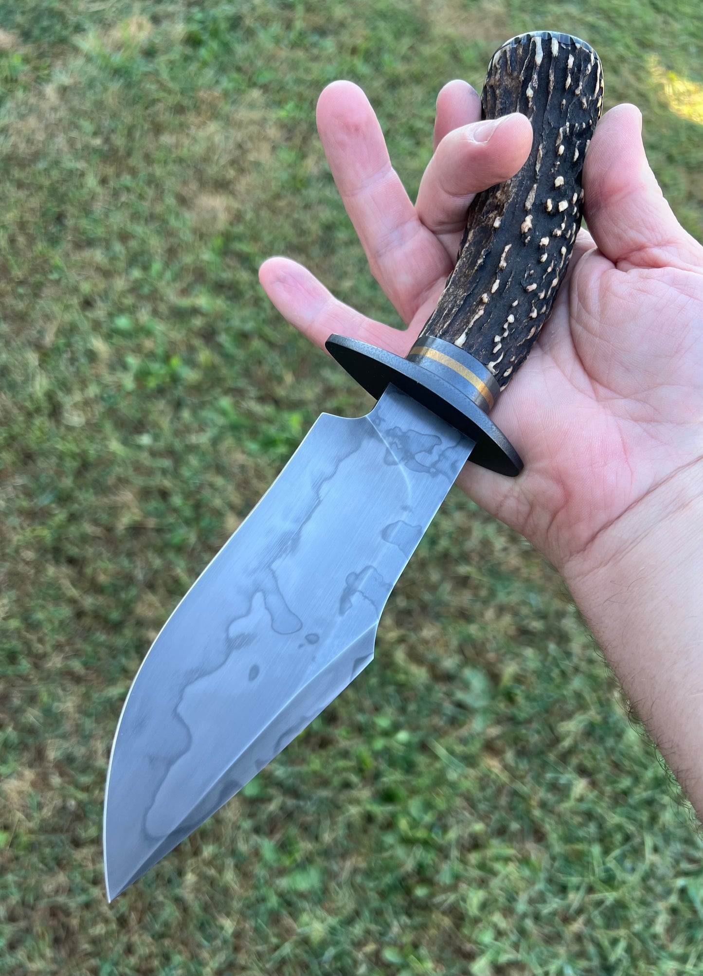 Stag Bowie